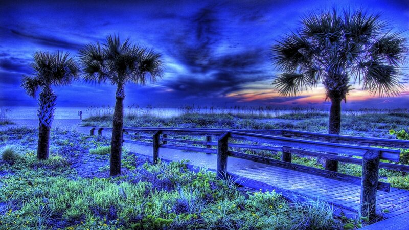 Palm Trees on Beach — Blue, Dramatic, Sunset, Photograph, Boardwalk
