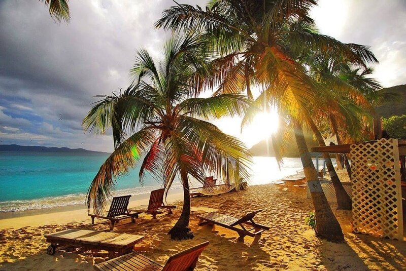 Palm Trees on Beach — Blue, Dramatic, Sunset, Photograph, Chairs
