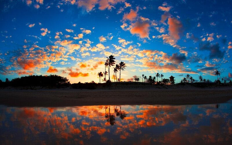 Palm Trees on Beach — Blue, Dramatic, Sunset, Photograph, Clouds