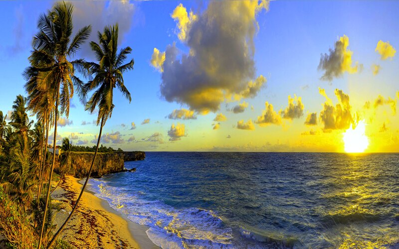 Palm Trees on Beach — Blue, Dramatic, Sunset, Photograph, Ocean, Sun