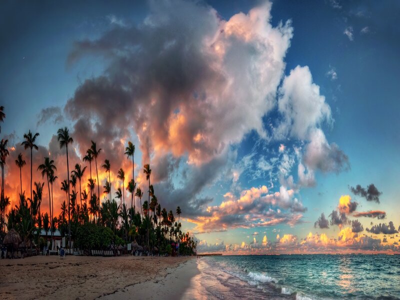 Palm Trees on Beach — Blue, Dramatic, Sunset, Photograph, Ocean