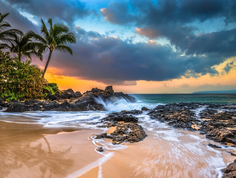 Palm Trees on Beach — Blue, Dramatic, Sunset, Photograph, Palm Trees