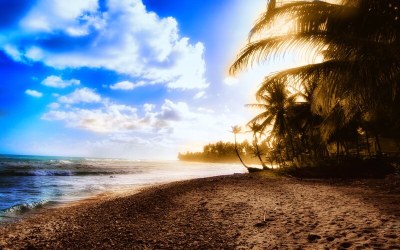 Palm Trees on Beach — Blue, Dramatic, Sunset