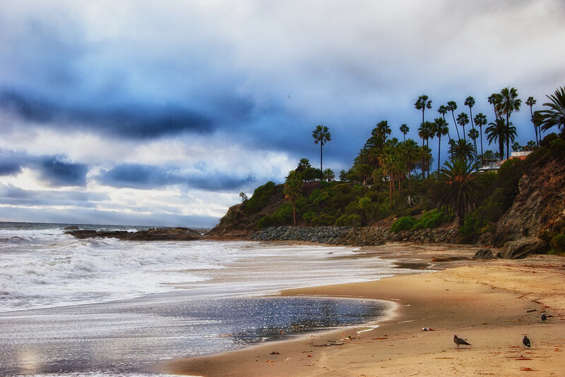 Palm Trees on Beach — Blue, Dramatic