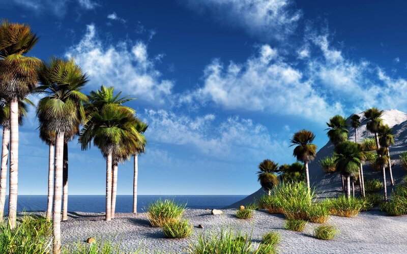 Palm Trees on Beach — Blue, Serene, Afternoon, 3d Render, Ocean, Mountain, Sky, Grass