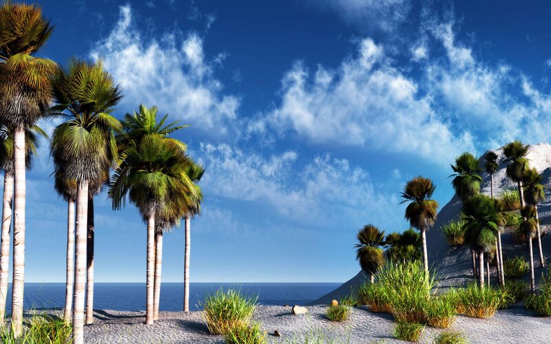Palm Trees on Beach — Blue, Serene, Afternoon, 3d Render, Ocean, Mountain
