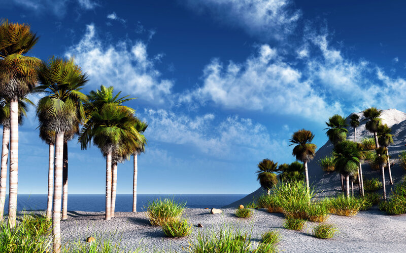 Palm Trees on Beach — Blue, Serene, Afternoon, 3d Render, Ocean
