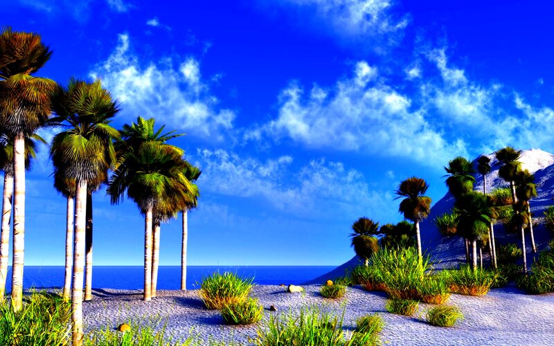Palm Trees on Beach — Blue, Serene, Afternoon, Digital Art