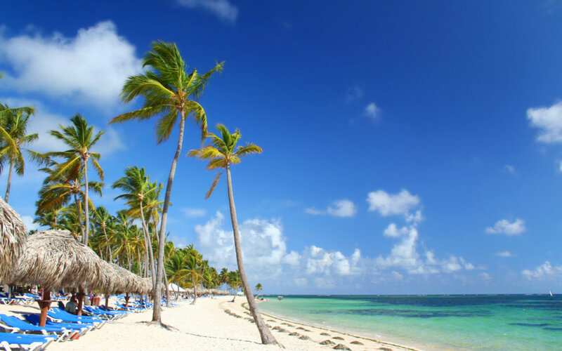 Palm Trees on Beach — Blue, Serene, Afternoon, Photograph, Beach Chairs, Thatched Umbrellas