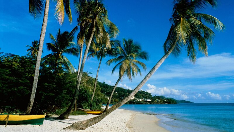 Palm Trees on Beach — Blue, Serene, Afternoon, Photograph, Boats, Ocean