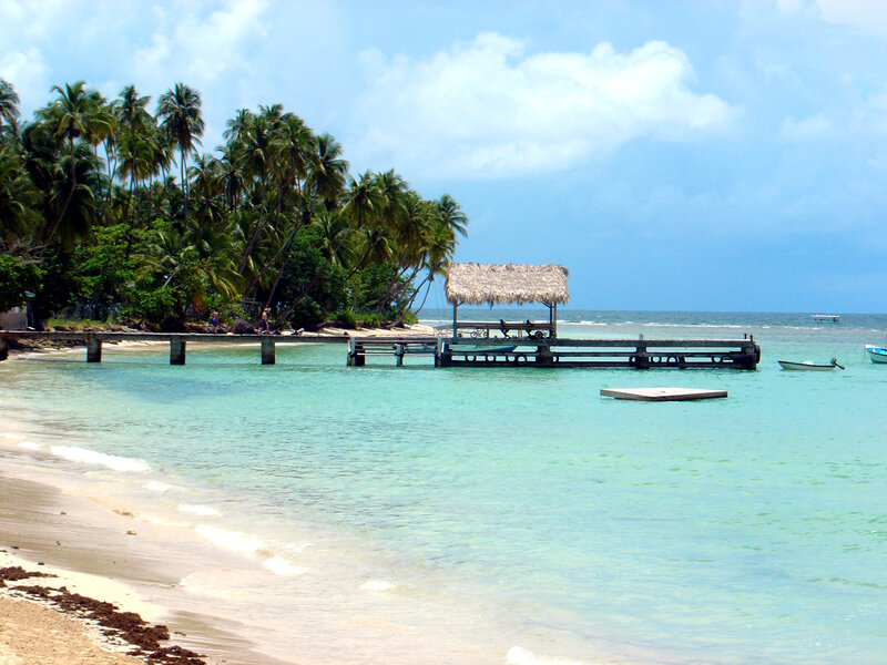 Palm Trees on Beach — Blue, Serene, Afternoon, Photograph, Dock