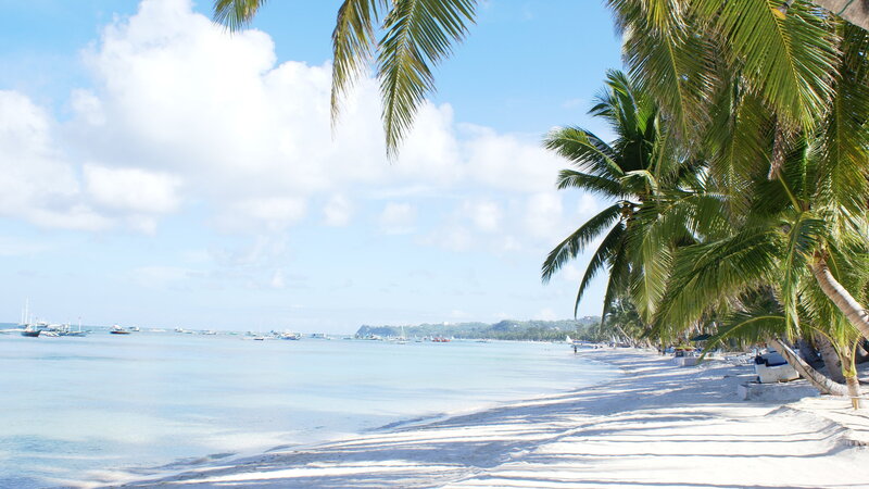 Palm Trees on Beach — Blue, Serene, Afternoon, Photograph, Ocean, Boats
