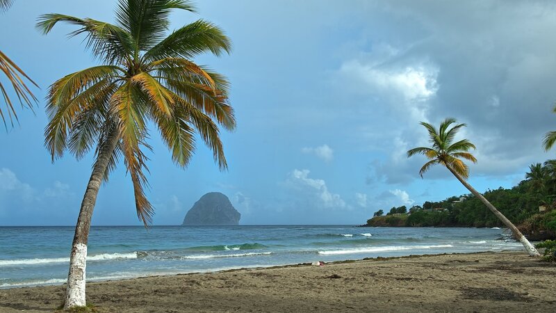 Palm Trees on Beach — Blue, Serene, Afternoon, Photograph, Ocean, Island, Clouds