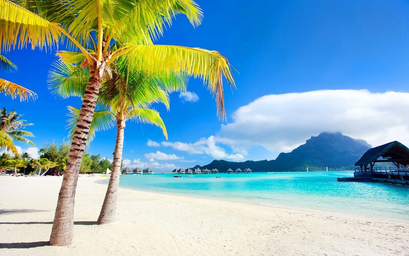 Palm Trees on Beach — Blue, Serene, Afternoon, Photograph, Ocean, Mountain, Bungalows