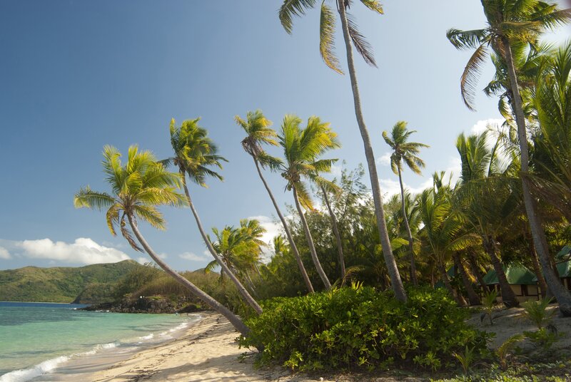 Palm Trees on Beach — Blue, Serene, Afternoon, Photograph, Ocean, Mountain, Sand