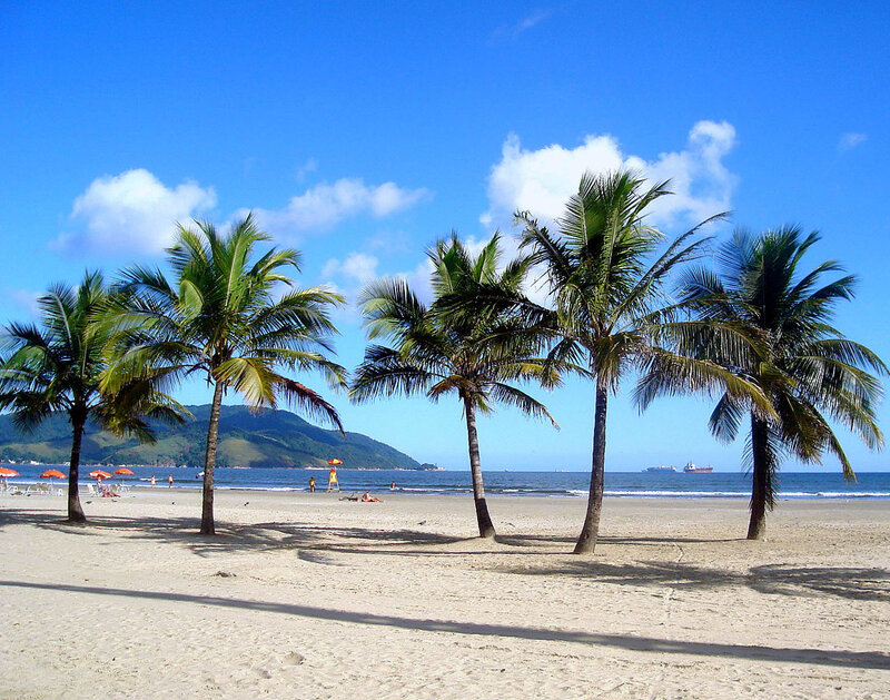 Palm Trees on Beach — Blue, Serene, Afternoon, Photograph, Ocean, Mountain, Umbrellas