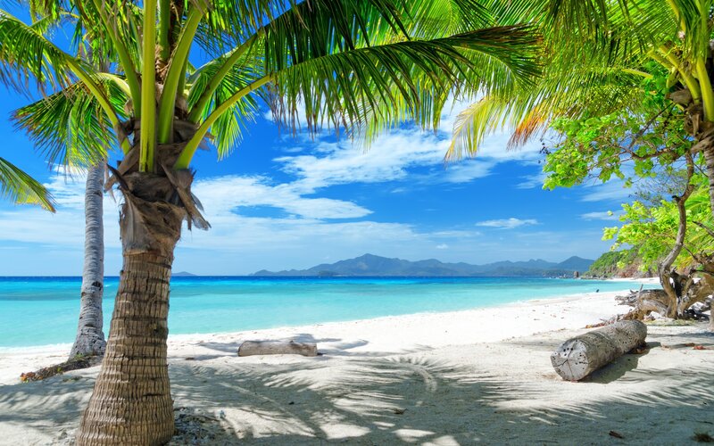 Palm Trees on Beach — Blue, Serene, Afternoon, Photograph, Ocean, Mountains, Sand