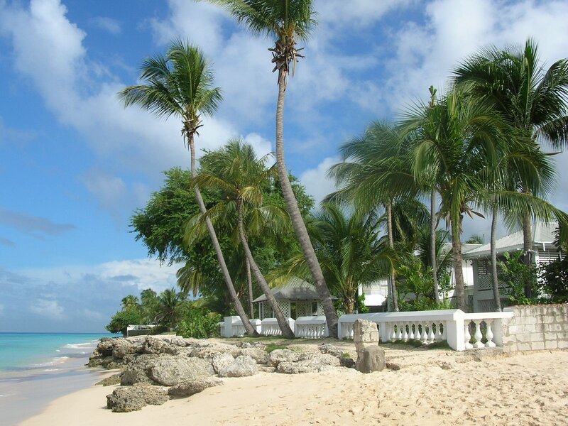 Palm Trees on Beach — Blue, Serene, Afternoon, Photograph, Ocean, Sand, Building