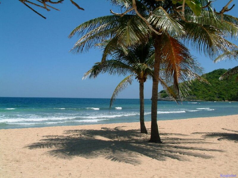 Palm Trees on Beach — Blue, Serene, Afternoon, Photograph, Ocean, Sand, Hill