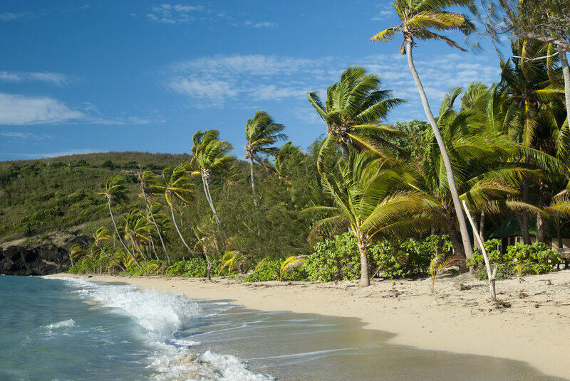 Palm Trees on Beach — Blue, Serene, Afternoon, Photograph, Ocean, Sand, Hills