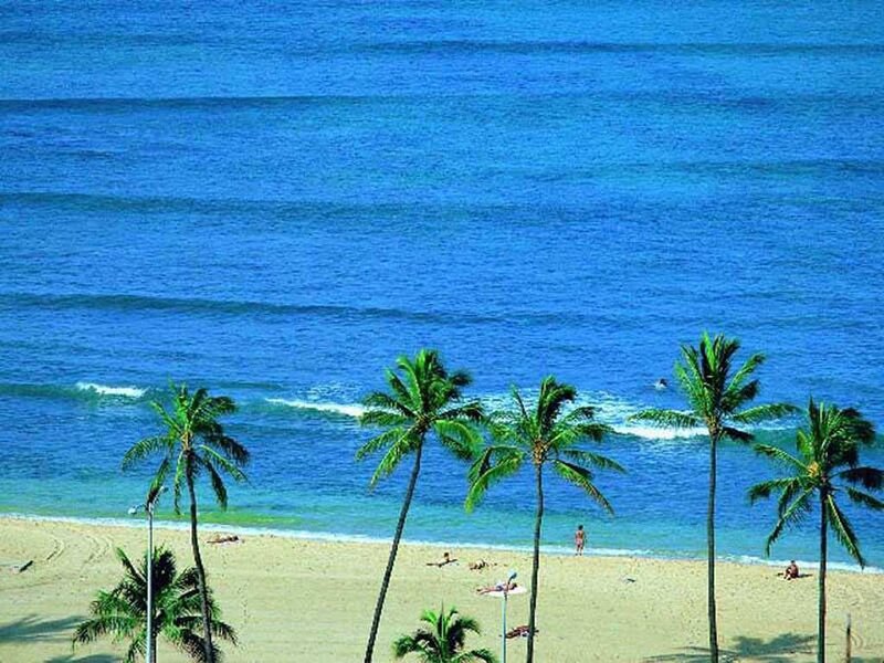 Palm Trees on Beach — Blue, Serene, Afternoon, Photograph, Ocean, Sand, People