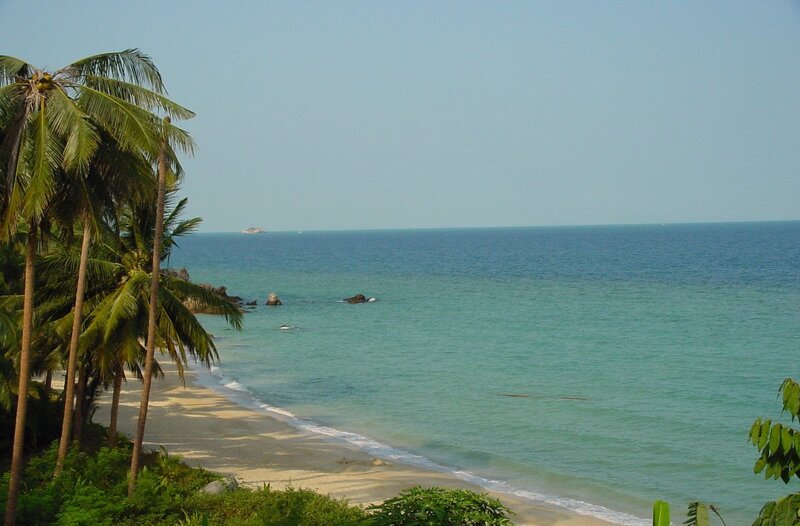 Palm Trees on Beach — Blue, Serene, Afternoon, Photograph, Ocean, Sand, Rocks, Green