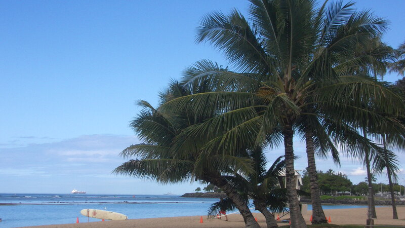 Palm Trees on Beach — Blue, Serene, Afternoon, Photograph, Ocean, Surfboard, Ship