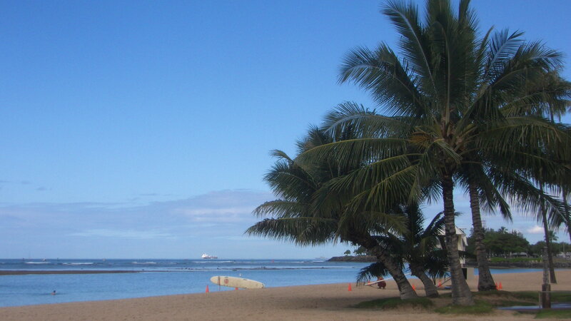 Palm Trees on Beach — Blue, Serene, Afternoon, Photograph, Ocean, Surfboard