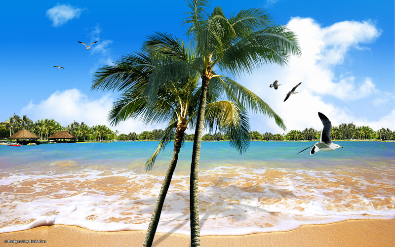 Palm Trees on Beach — Blue, Serene, Afternoon, Photograph