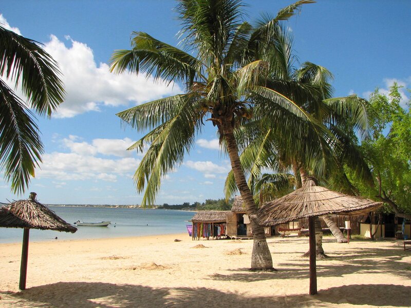 Palm Trees on Beach — Blue, Serene, Afternoon, Photograph, Umbrellas, Boat