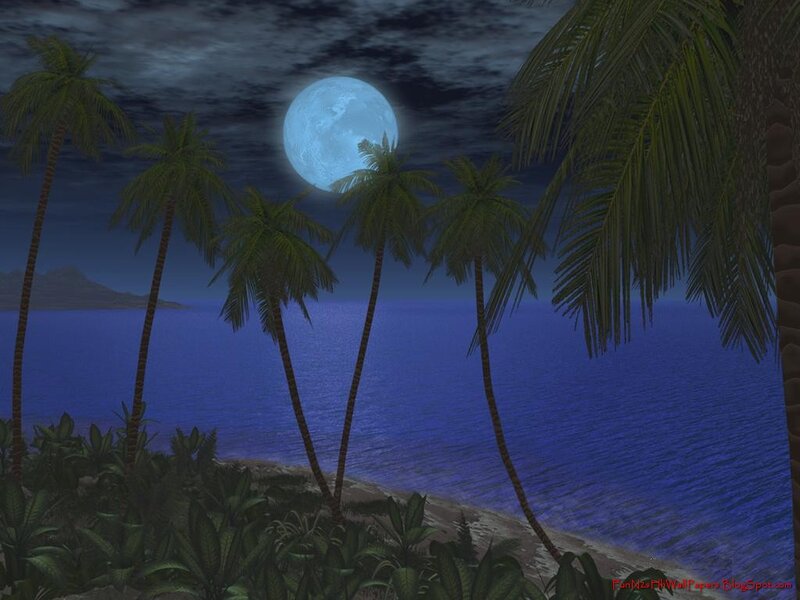 Palm Trees on Beach — Blue, Serene, Night, 3d Render