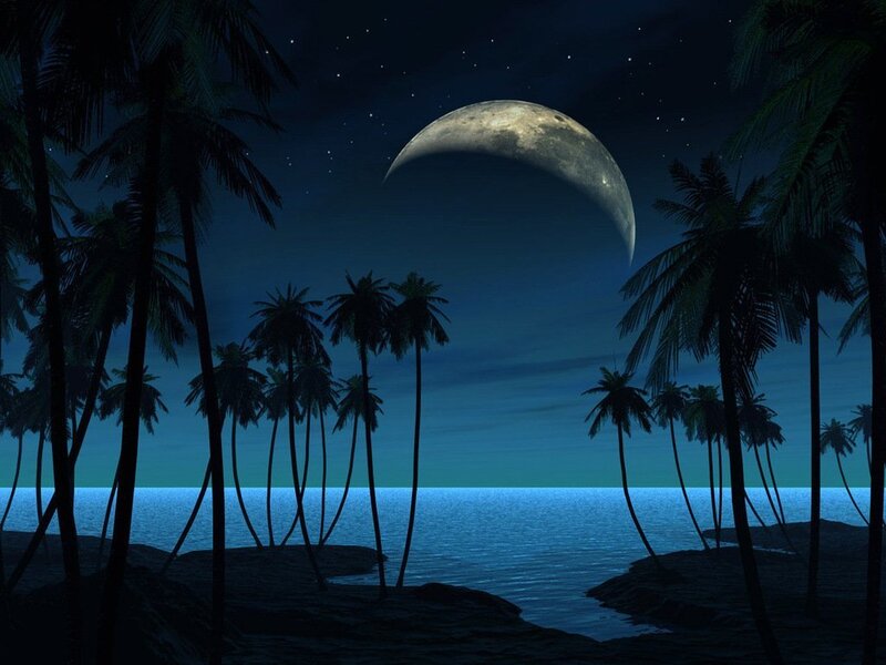 Palm Trees on Beach — Blue, Serene, Night, Digital Art, Moon, Ocean, Stars