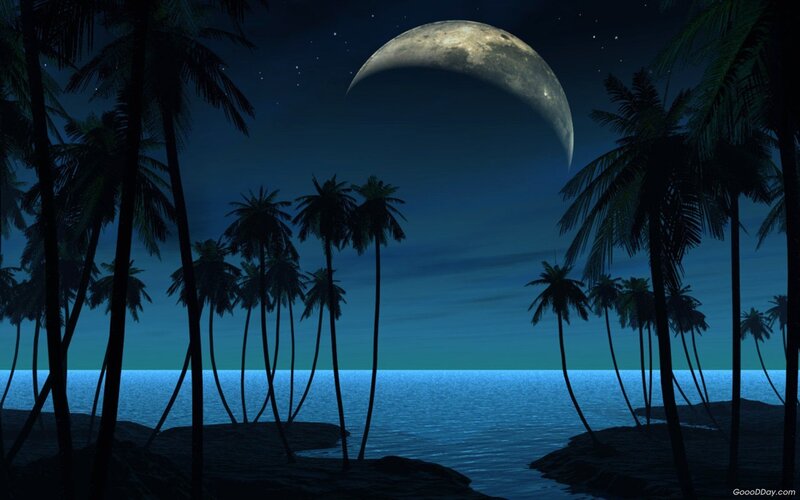 Palm Trees on Beach — Blue, Serene, Night, Digital Art, Moon, Ocean