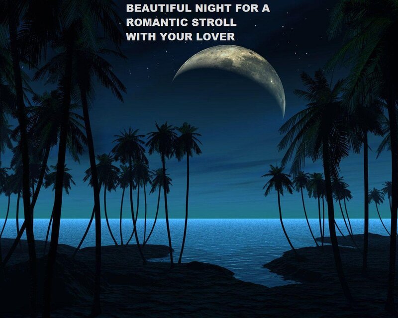 Palm Trees on Beach — Blue, Serene, Night, Digital Art, Moon