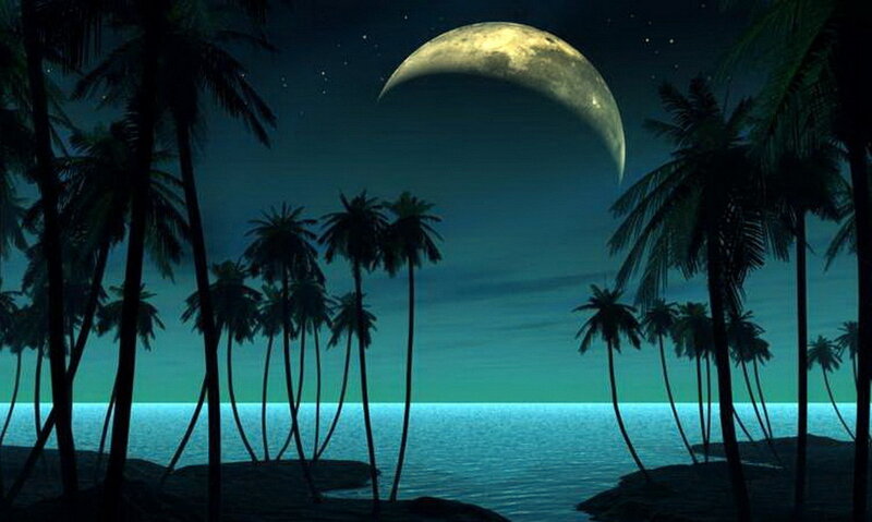 Palm Trees on Beach — Blue, Serene, Night, Digital Art