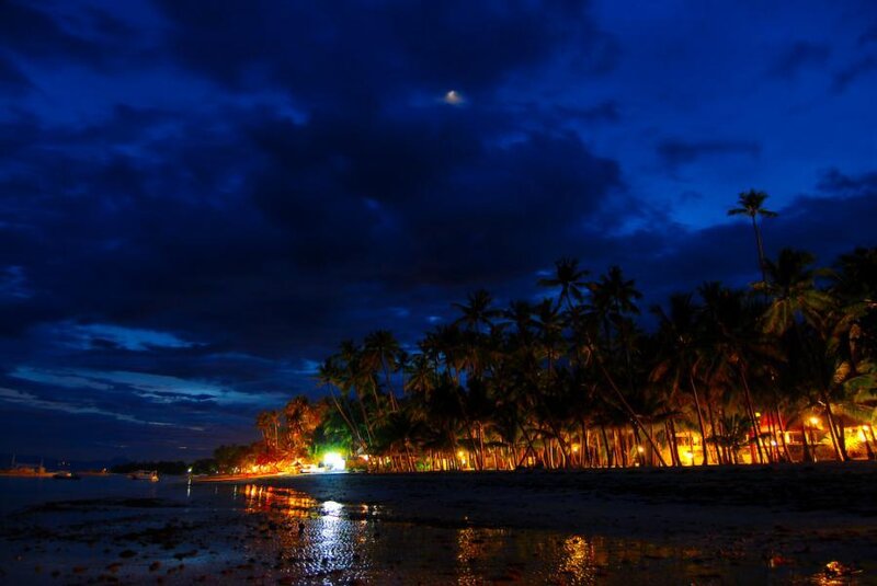 Palm Trees on Beach — Blue, Serene, Night, Photograph, Moon