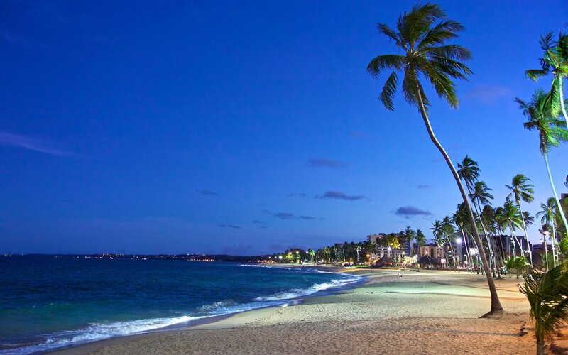 Palm Trees on Beach — Blue, Serene, Night, Photograph, Ocean