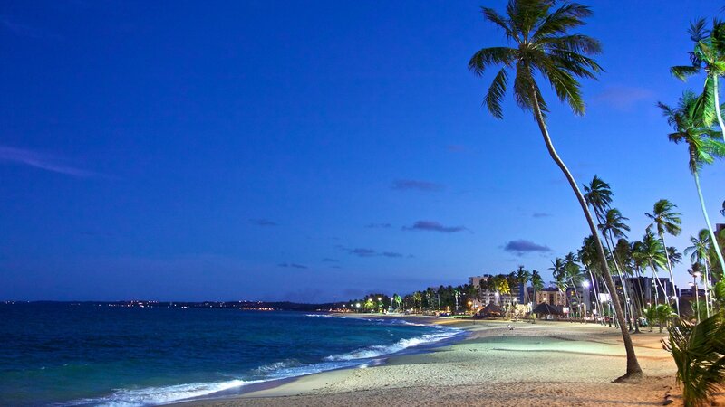 Palm Trees on Beach — Blue, Serene, Night, Photograph