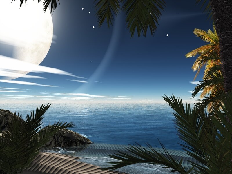 Palm Trees on Beach — Blue, Serene, Night