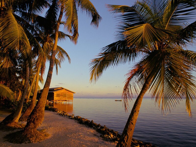 Palm Trees on Beach — Blue, Serene, Sunset, Photograph, Hut