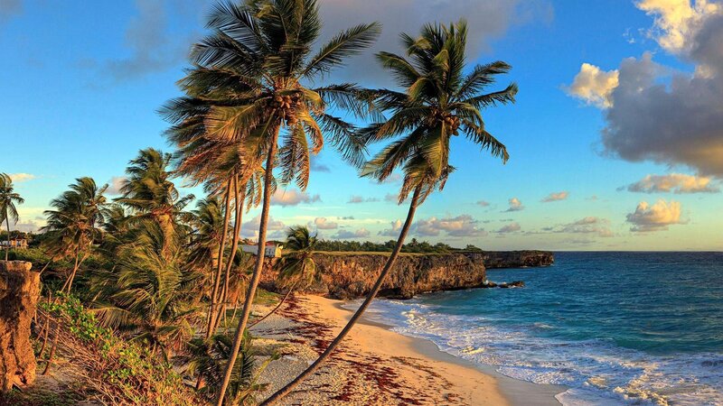 Palm Trees on Beach — Blue, Serene, Sunset, Photograph, Ocean, Cliffs, Sky