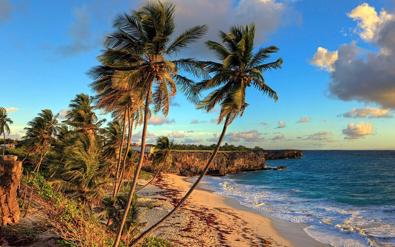 Palm Trees on Beach — Blue, Serene, Sunset, Photograph, Ocean, Cliffs