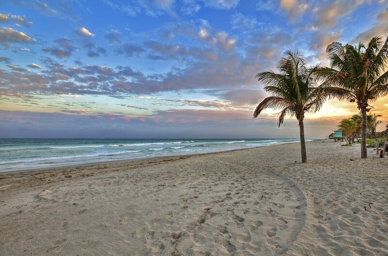 Palm Trees on Beach — Blue, Serene, Sunset, Photograph, Ocean