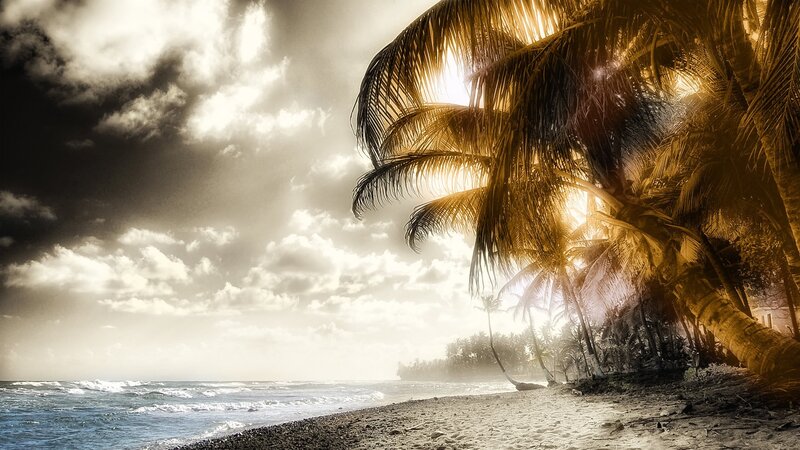 Palm Trees on Beach — Brown, Dramatic, Sunrise, Photograph, Ocean, Clouds, Sand, Gray