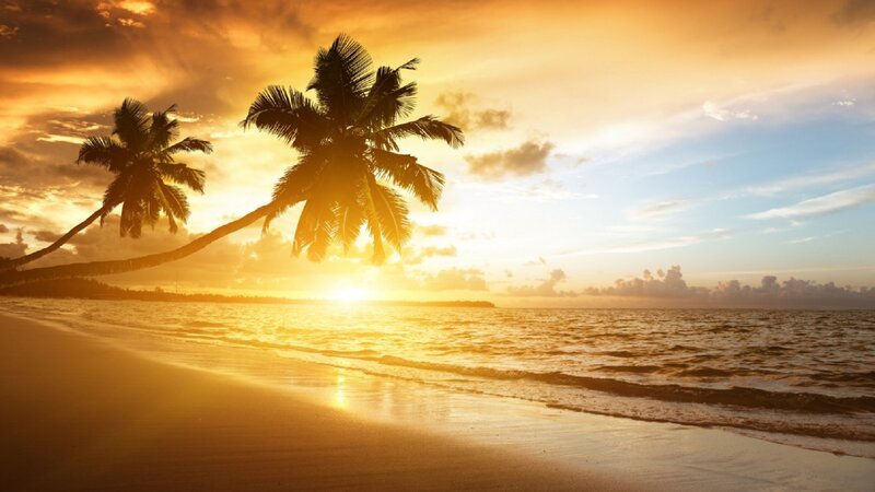 Palm Trees on Beach — Gold, Serene, Sunset, Photograph, Ocean