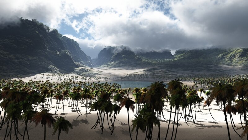 Palm Trees on Beach — Green, Serene, Afternoon, 3d Render