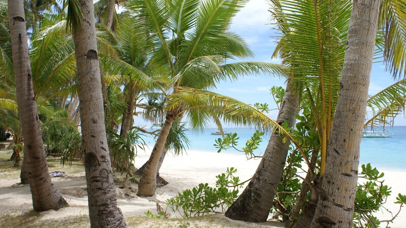 Palm Trees on Beach — Green, Serene, Afternoon, Photograph, Ocean, Boat