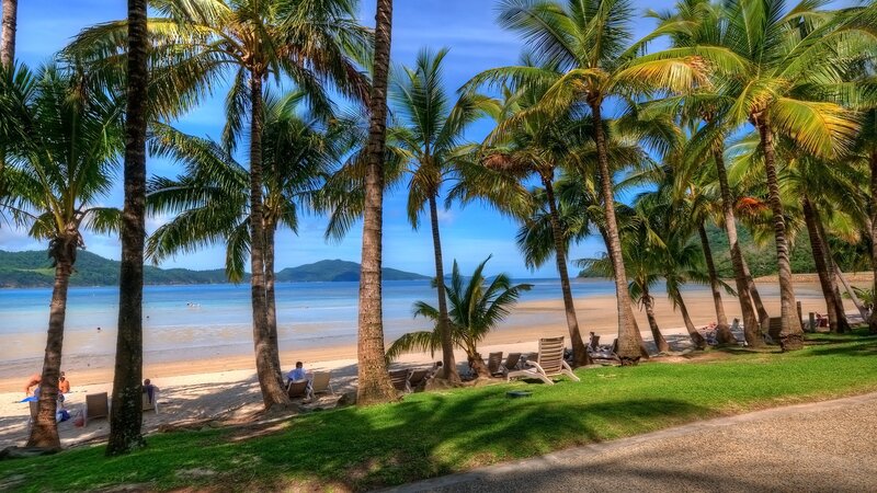 Palm Trees on Beach — Green, Serene, Afternoon, Photograph, Ocean, Chairs
