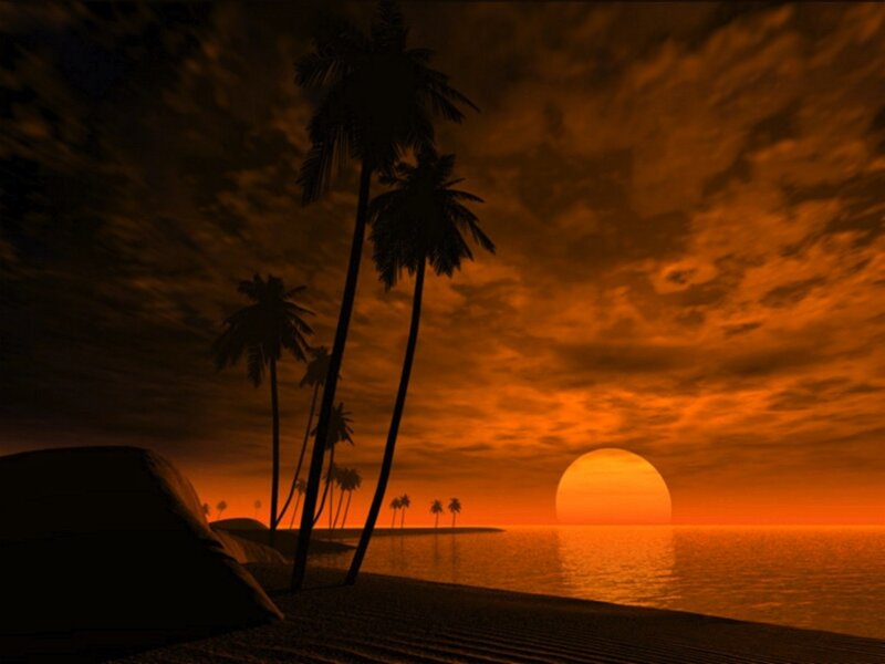 Palm Trees on Beach — Orange, Dramatic, Sunset, 3d Render, Sun