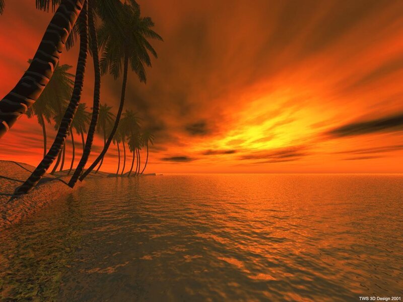 Palm Trees on Beach — Orange, Dramatic, Sunset, 3d Render